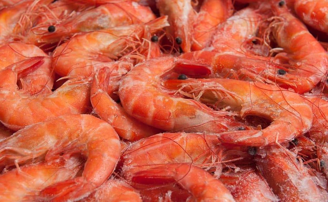 Como Saber Si Unas Gambas Congeladas Están Malas www.diariovasco.com